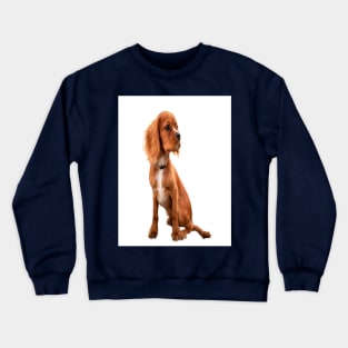 Dog with long ears Crewneck Sweatshirt